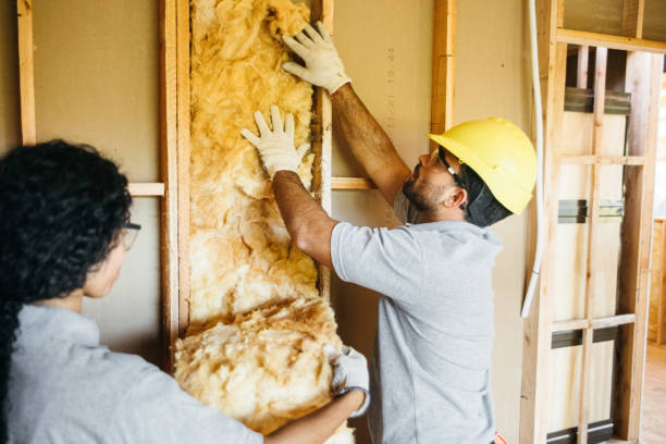 Best Spray Foam Insulation  in Falls City, NE
