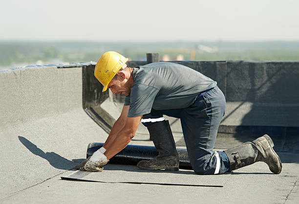 Best Spray Foam Insulation  in Falls City, NE