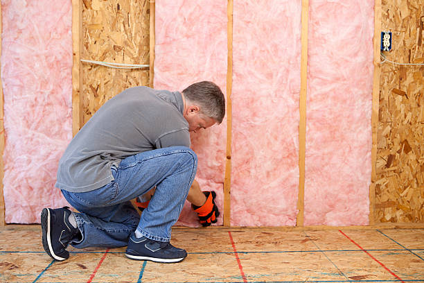 Best Insulation Removal  in Falls City, NE
