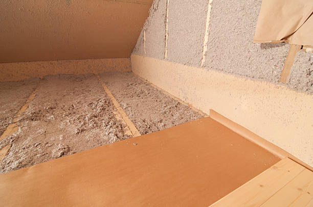 Best Insulation Removal Services  in Falls City, NE