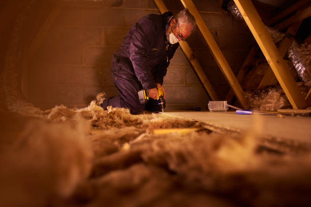 Best Garage Insulation Installation  in Falls City, NE
